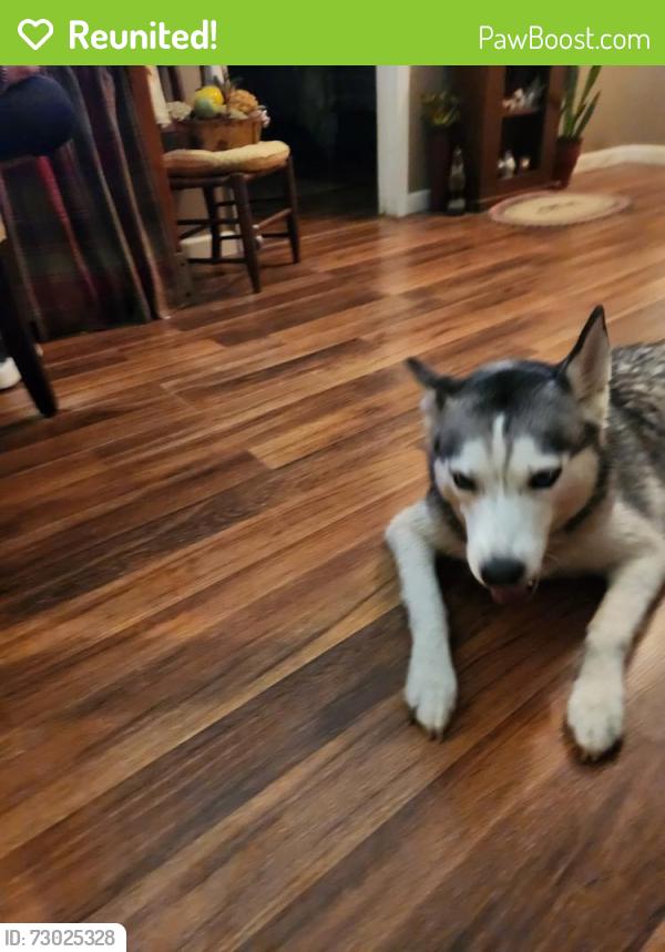 Reunited Unknown Dog last seen Auto pros, Holly Ridge, NC 28445