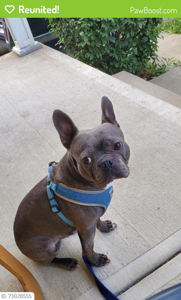 Reunited Male Dog last seen Spangler Rd and Williams Rd, Columbus, OH 43207