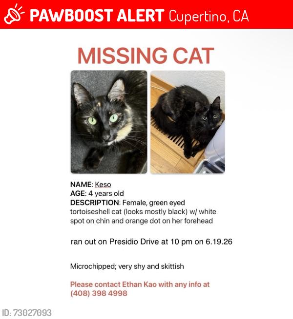 Lost Female Cat last seen Presidio Drive, Cupertino, CA 95014