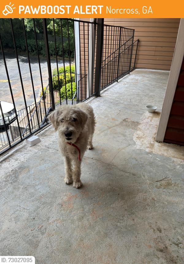 Found/Stray Male Dog last seen apmt complex, Norcross, GA 30093