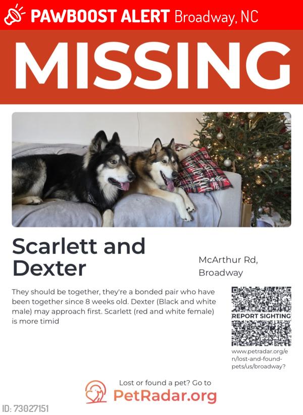 Lost Male Dog last seen Broadway, NC, Broadway, NC 27505
