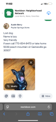 Reunited Female Dog last seen Near peach mountain cir Gainesville ga , Gainesville, GA 30507