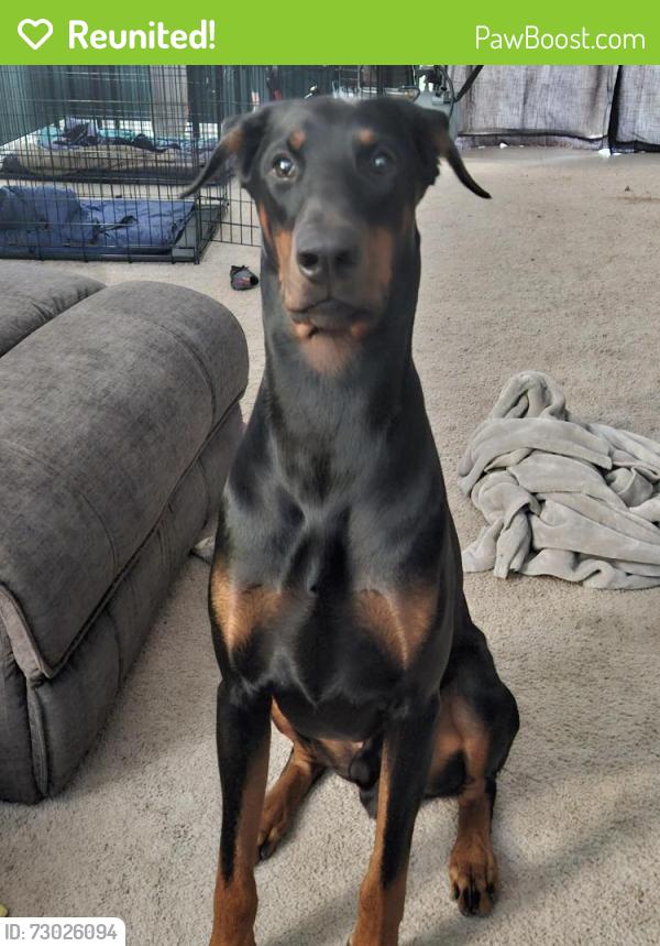 Reunited Male Dog last seen Bond mill, West Laurel, MD 20707