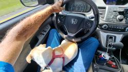 Lost Male Dog last seen Center st., Kingsport, TN 37664