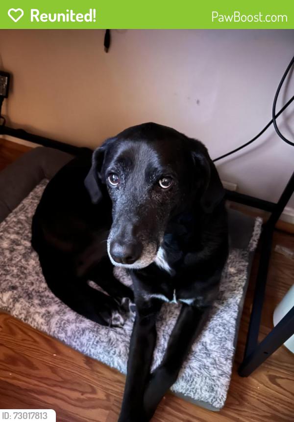 Reunited Male Dog last seen Keyser Rd, Prince William County, VA 20181