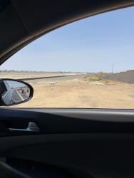Found/Stray Unknown Dog last seen Railroad tracks, Bakersfield, CA 93313