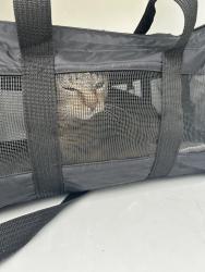Shelter Stray Unknown Cat last seen Near Sandbridge Road, VIRGINIA BEACH, VA, 23456, 341 S Birdneck Rd, Virginia Beach, VA 23451, USA