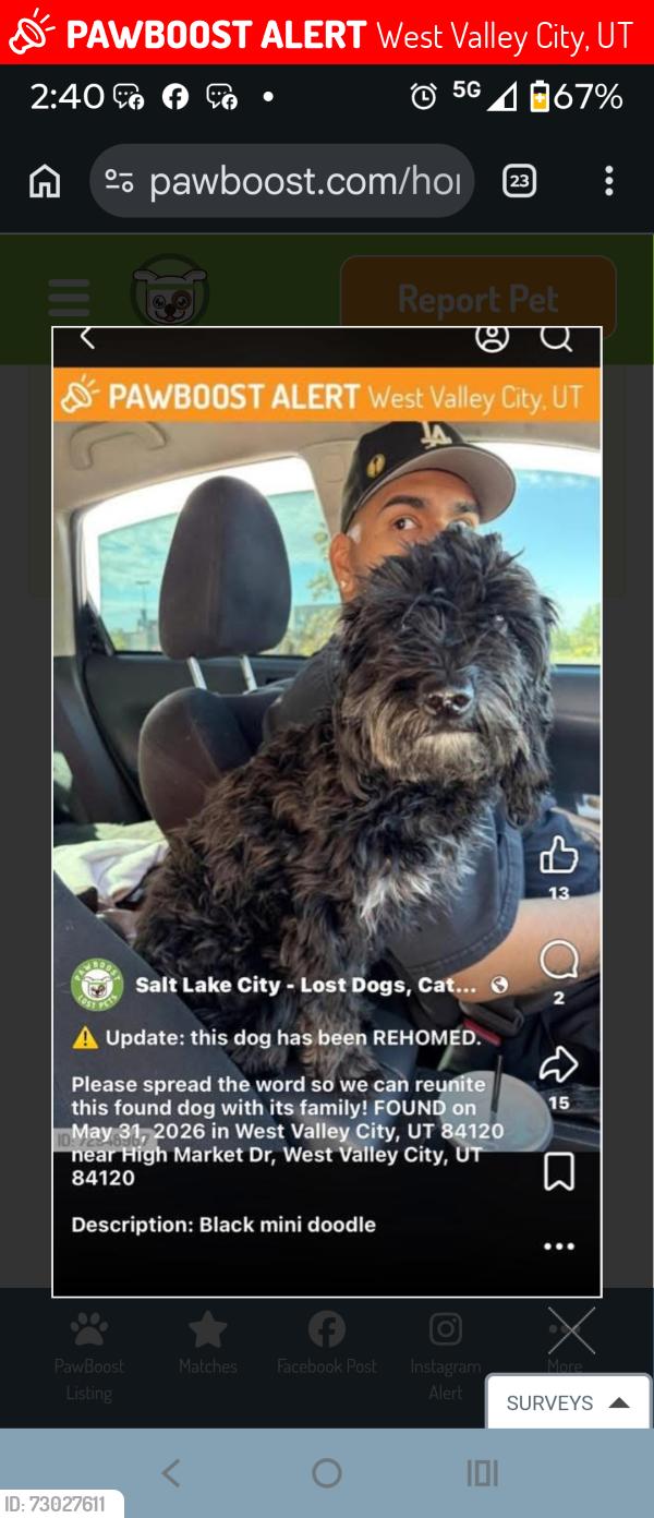 Lost Female Dog last seen target west valley utah, West Valley City, UT 84120