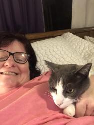 Lost Male Cat last seen Glenhurst and Saybrook , Citrus Heights, CA 95621