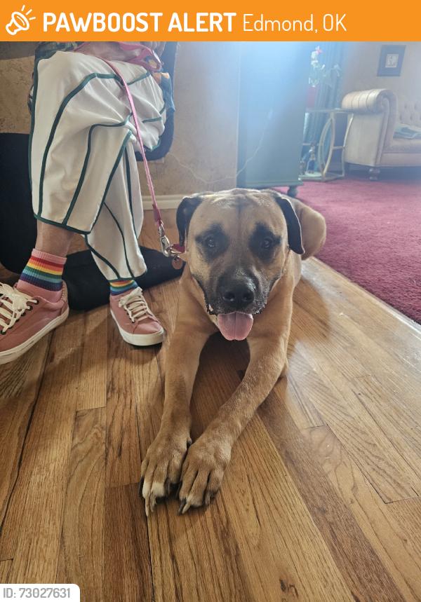 Found/Stray Male Dog last seen NW 192 and Meridian, Edmond, OK 73012