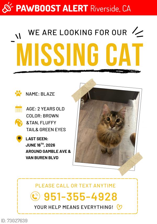 Lost Male Cat last seen Van buren &gamble, Riverside, CA 92504