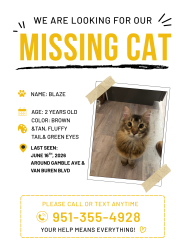 Lost Male Cat last seen Van buren &gamble, Riverside, CA 92504
