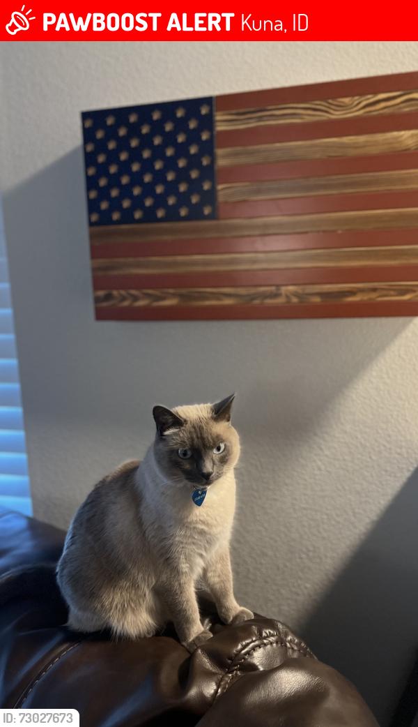 Lost Female Cat last seen Deer flt and Linder, Kuna, ID 83634