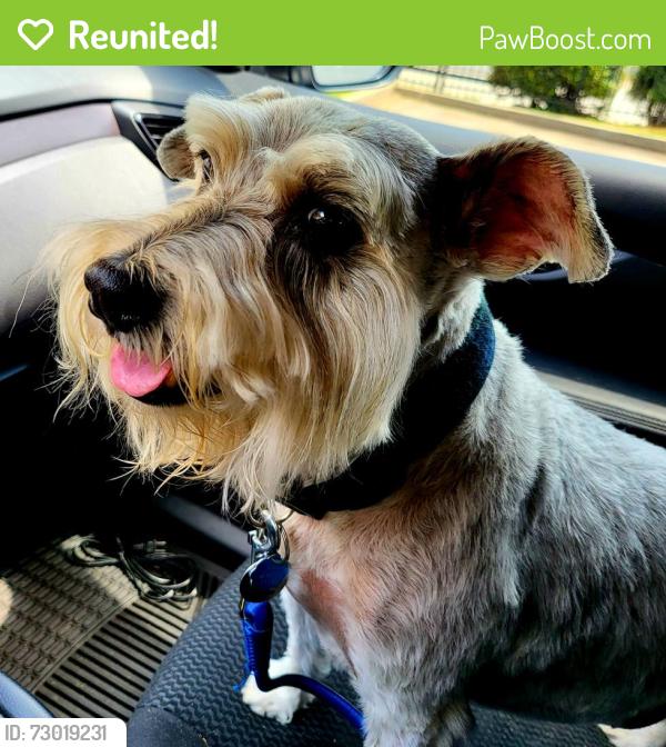 Reunited Male Dog last seen Sharp Way  & Ingram Rd , Duluth, GA 30096