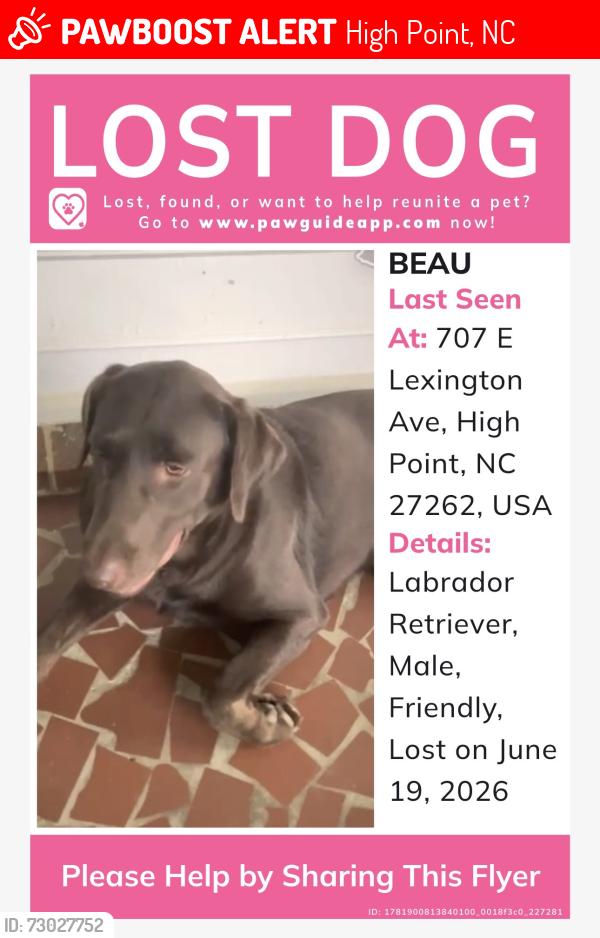 Lost Male Dog last seen Bridges dr , High Point, NC 27262