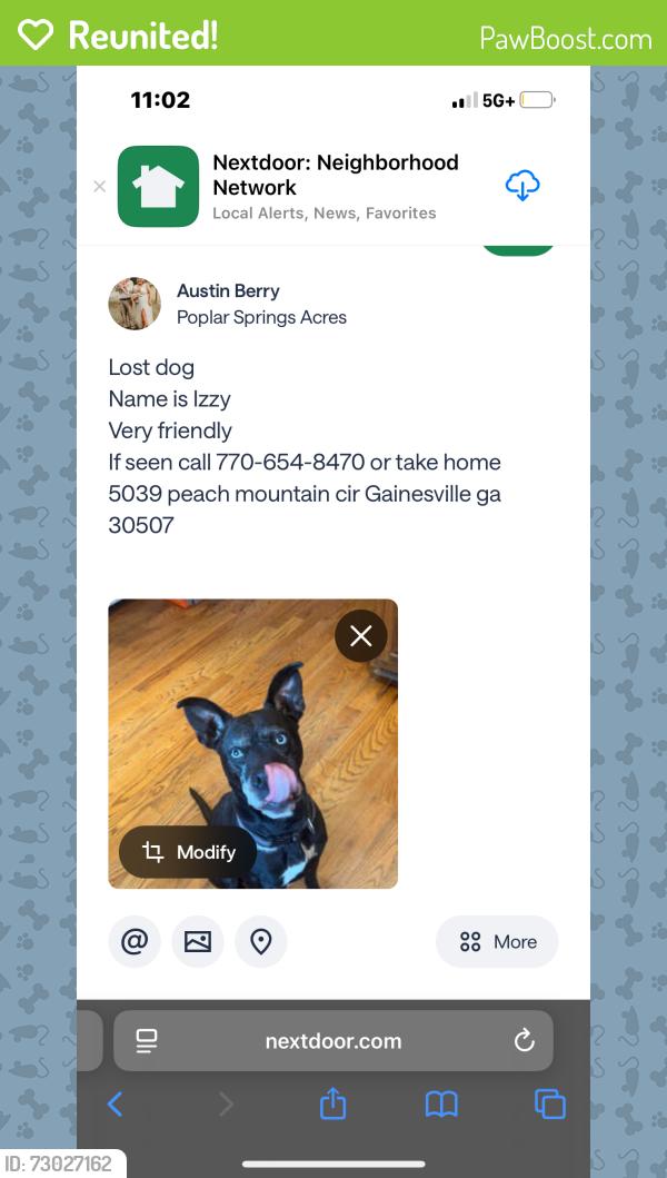 Reunited Female Dog last seen Near peach mountain cir Gainesville ga , Gainesville, GA 30507