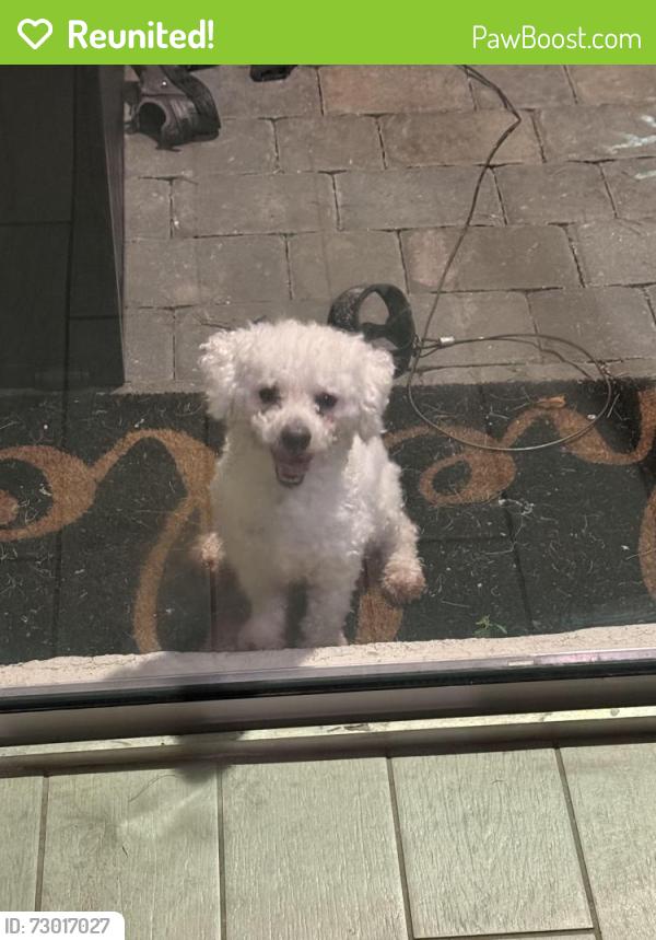 Reunited Male Dog last seen El deraldo, Cape Coral, FL 33993