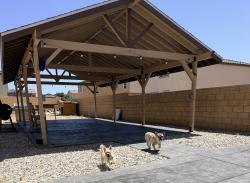 Reunited Male Dog last seen Mesa Linda Ave and Mesa Rojo Way Victorville CA 92392, Victorville, CA 92392