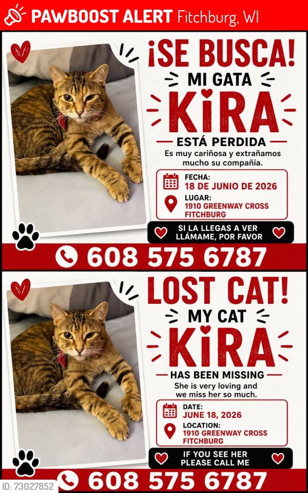 Lost Female Cat last seen Near greenway cross Fitchburg estacionamiento, Fitchburg, WI 53713
