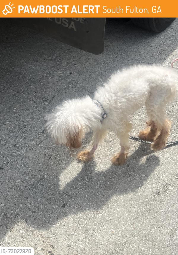 Found/Stray Unknown Dog last seen Olmadison Lane/Place and Old National Hwy, South Fulton, GA 30349
