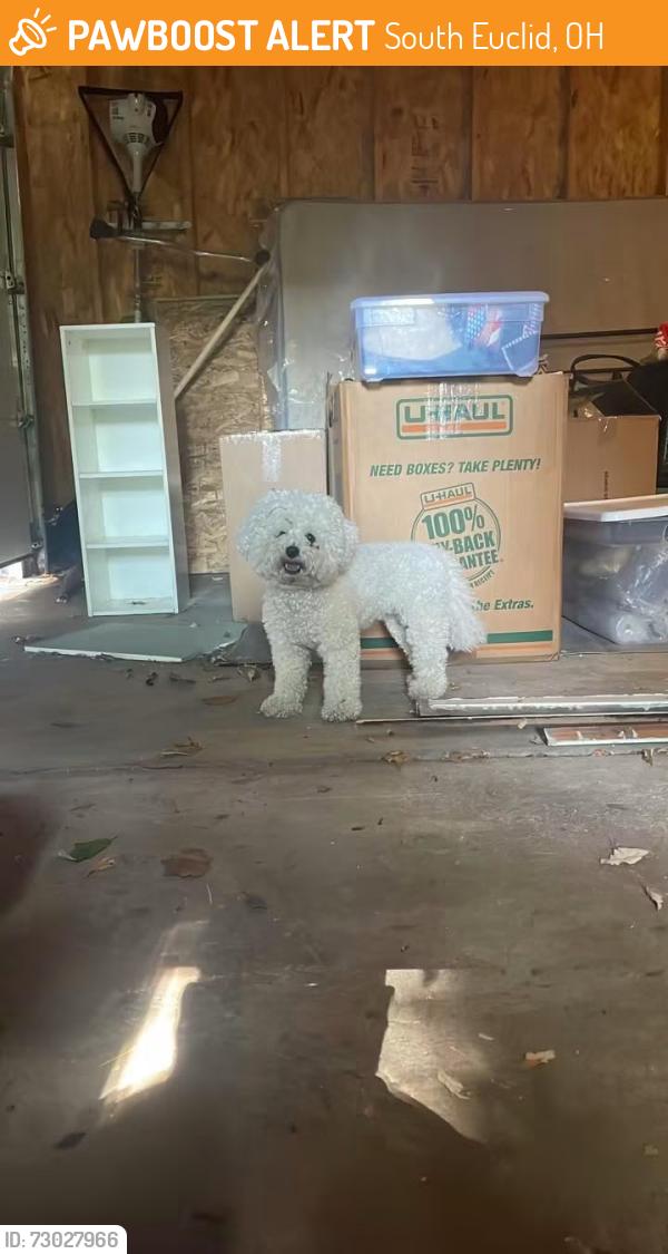 Found/Stray Unknown Dog last seen Revere Rd, Grosvenor Rd, South Euclid, OH 44118