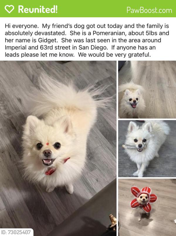 Reunited Female Dog last seen Near Imperial Ave, San Diego, CA 92114, USA, San Diego, CA 92114