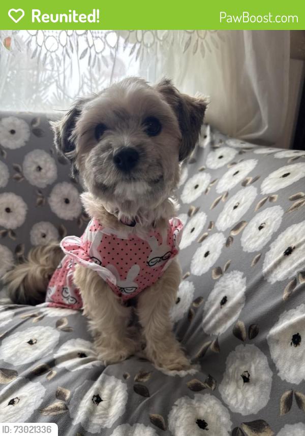 Reunited Female Dog last seen Bullock Dr, San Diego, CA 92114, USA, San Diego, CA 92114