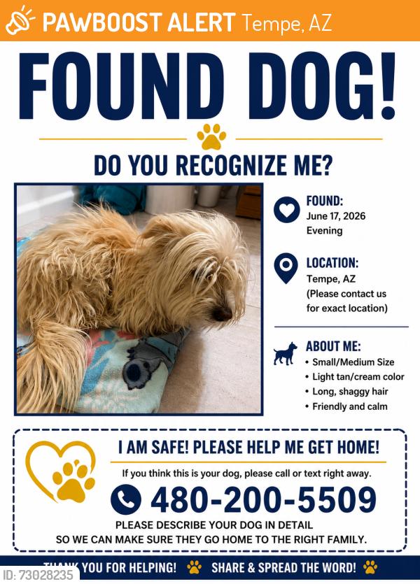 Found/Stray Male Dog last seen Fuller school, Tempe, AZ 85283