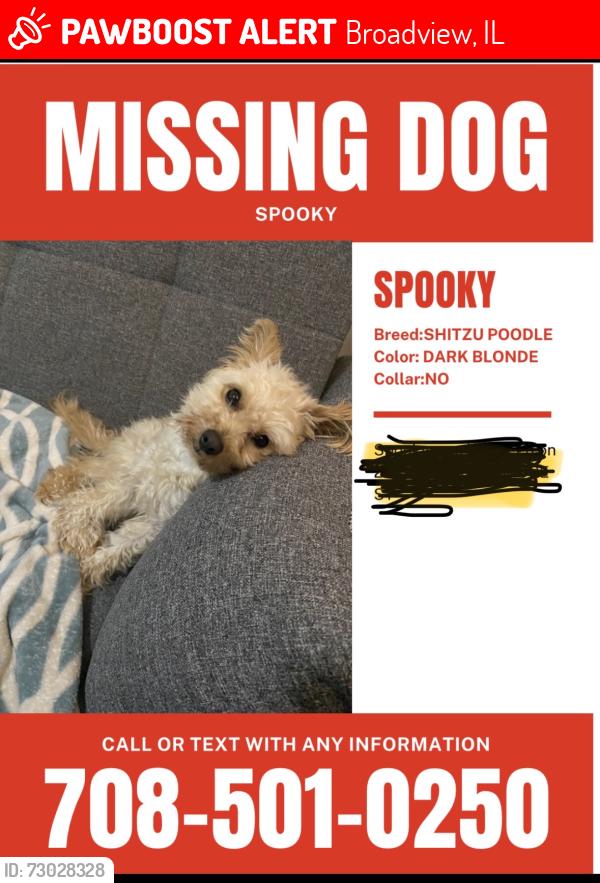 Lost Male Dog last seen Near W Roosevelt Rd Broadview, IL  60155 United States , Broadview, IL 60155