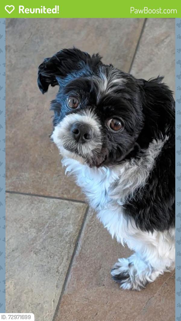 Reunited Female Dog last seen McMurray blvd, Pottebaum Ave , Casa Grande, AZ 85122