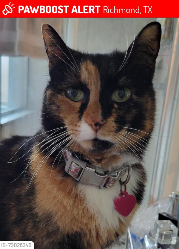 Lost Female Cat last seen Syriana , Richmond, TX 77406