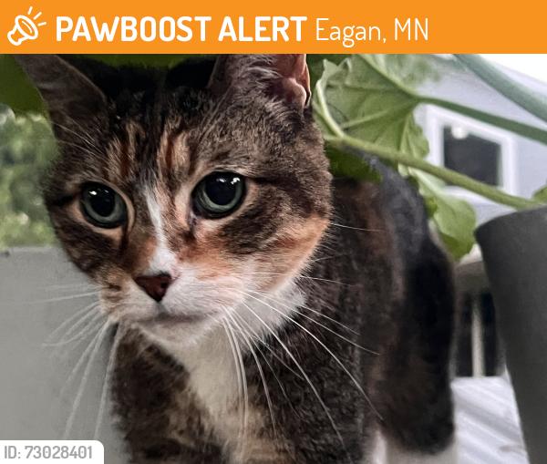 Found/Stray Female Cat last seen Cliff and lexington, Eagan, MN 55123