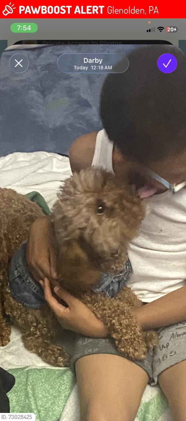 Lost Unknown Dog last seen I don’t know unfortunately.., Glenolden, PA 19036