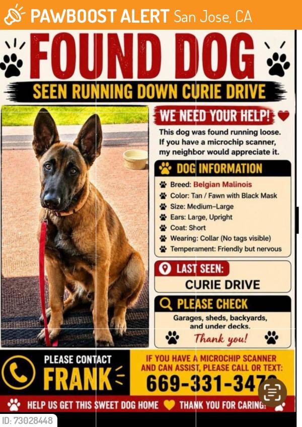 Found/Stray Unknown Dog last seen Curie Drive & Cottle , San Jose, CA 95123