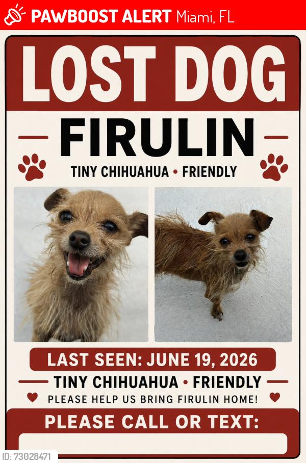 Lost Male Dog last seen Gladeview Park, Miami, FL 33147