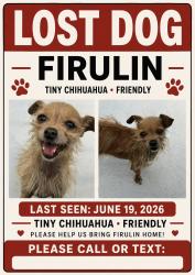 Lost Male Dog last seen Gladeview Park, Miami, FL 33147