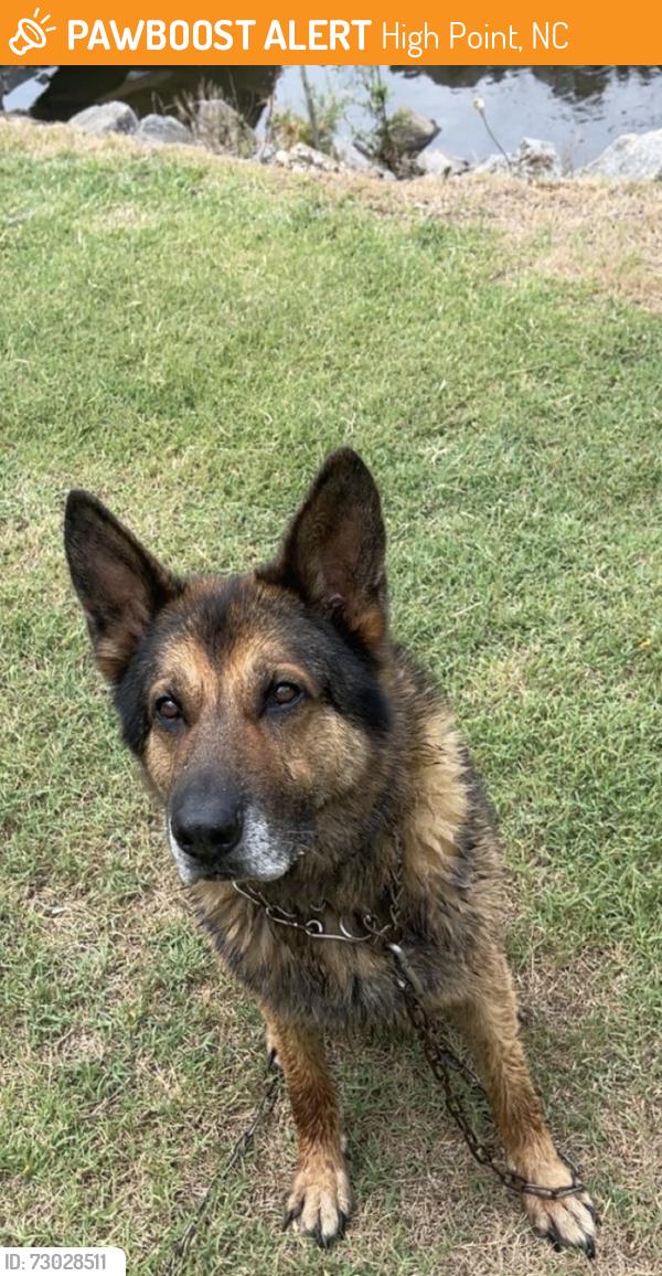 Found/Stray Male Dog last seen Blair Park Golf Course, High Point, NC 27260
