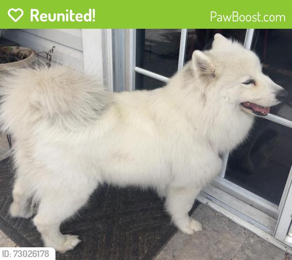 Reunited Female Dog last seen NE 12th Ave & Sample rd, Pompano Beach, FL 33064