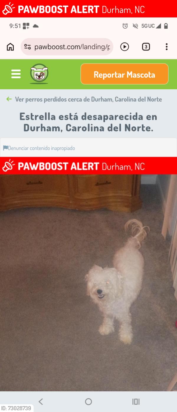Lost Female Dog last seen Near Wyldewood Rd, Durham, NC 27704, Durham, NC 27704