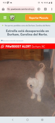 Lost Female Dog last seen Near Wyldewood Rd, Durham, NC 27704, Durham, NC 27704