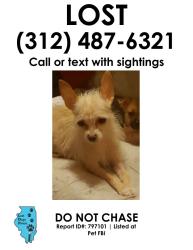 Lost Female Dog last seen 86th and Jeffery Blvd , Chicago, IL 60617