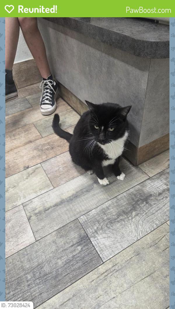 Reunited Male Cat last seen Beach and basswood, Fort Worth, TX 76137