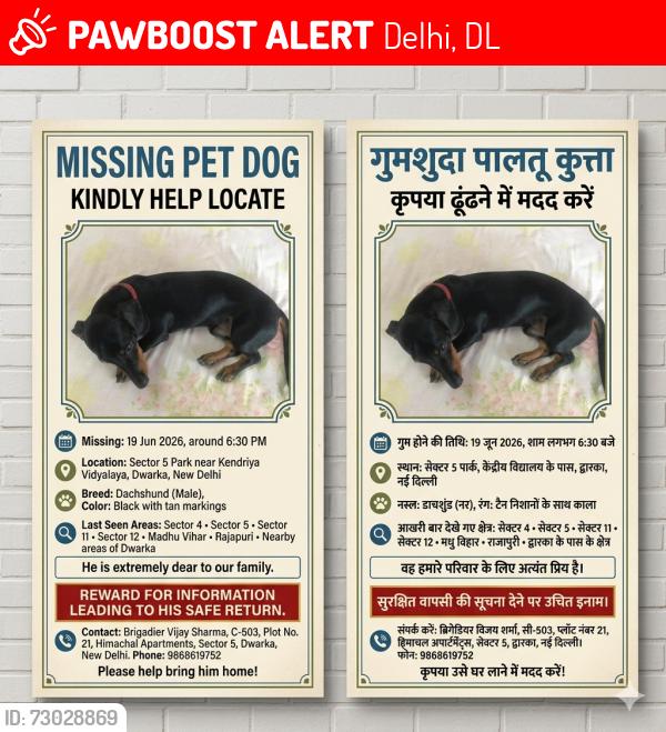 Lost Male Dog last seen Park near KV school,  Sector 5 , Dwarka , Delhi, DL 110075