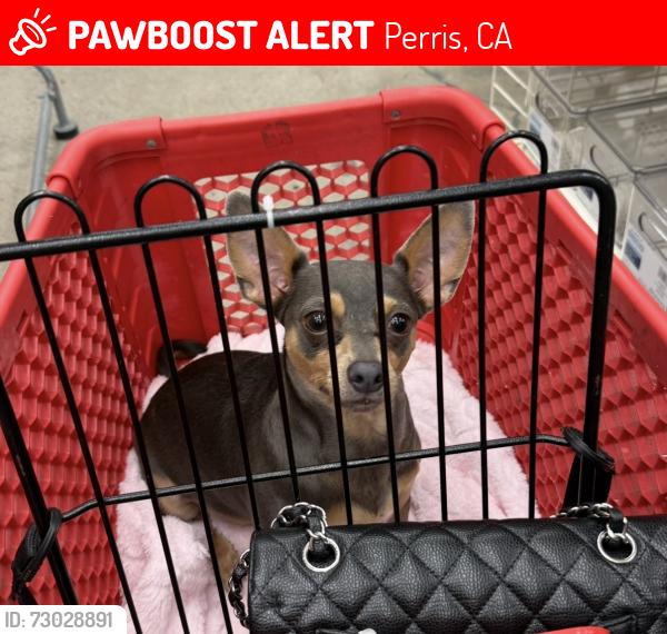Lost Male Dog last seen Near Old Elsinore Rd, Perris, CA  92570, Perris, CA 92570