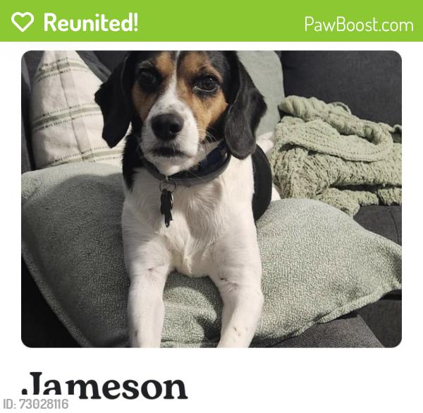 Reunited Male Dog last seen shell road, Chesapeake, VA 23323