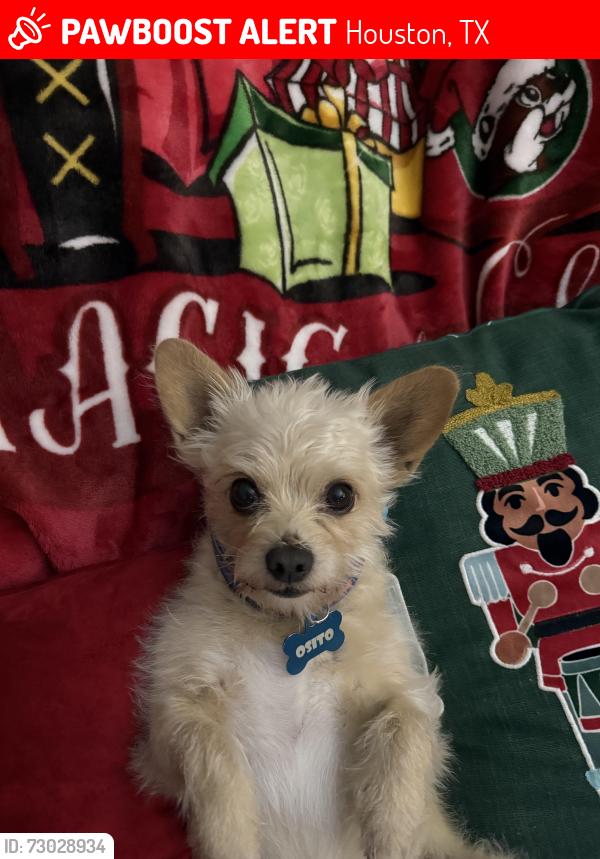 Lost Male Dog last seen Near Lazywood Ln, Houston, TX 77023