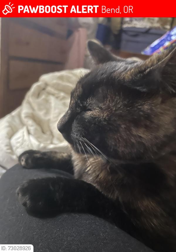 Lost Female Cat last seen Brosterhous, Bend, OR 97702