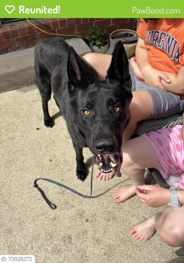 Reunited Male Dog last seen DeJarnette , Murfreesboro, TN 37130