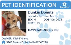 Reunited Male Dog last seen Florida , Panama City Beach, FL 32407