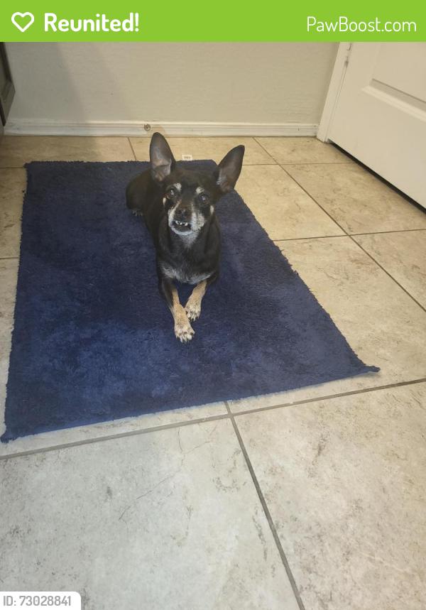 Reunited Male Dog last seen Walmart , Casa Grande, AZ 85122
